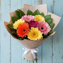 Букет цветов из:  Герберы в Стригуны