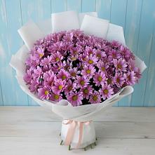 Букет цветов из:  Хризантемы в Стригуны
