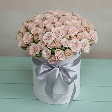 Цветочная композиция из Розы в шляпной коробке #REPLACE_PRED# Стригуны