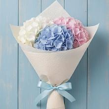 Букет цветов из:  Гортензия #REPLACE_PRED# Стригуны