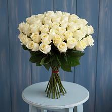 Букет 51 Белая роза Эдлесс Лав #REPLACE_PRED# Стригуны